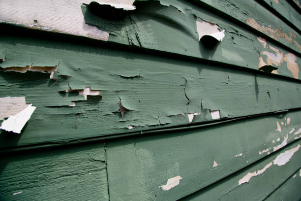 Best Demolition Debris Removal  in Oak Grove, LA