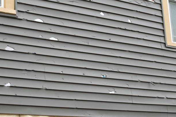 Best Shed Removal  in Oak Grove, LA